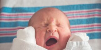 Understanding Newborns
