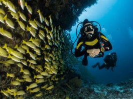 Diving: outdoor activities